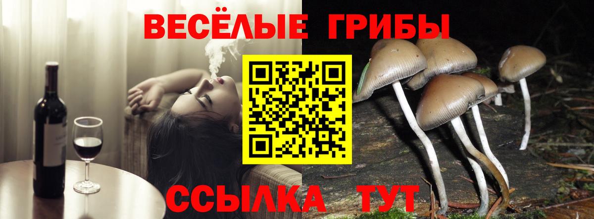 Галлюциногенные грибы GOLDEN TEACHER Кингисепп