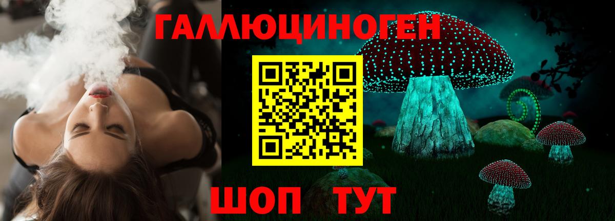Кингисепп  Псилоцибиновые грибы Psilocybine cubensis  цена   Вход с VPN 