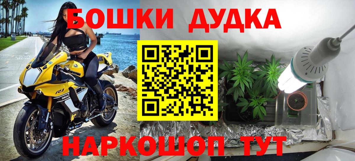 Марихуана SATIVA & INDICA Кингисепп
